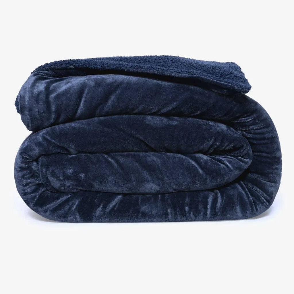 Zarf California King Size Reversible Quilt With 2 Cushion Covers - Sable