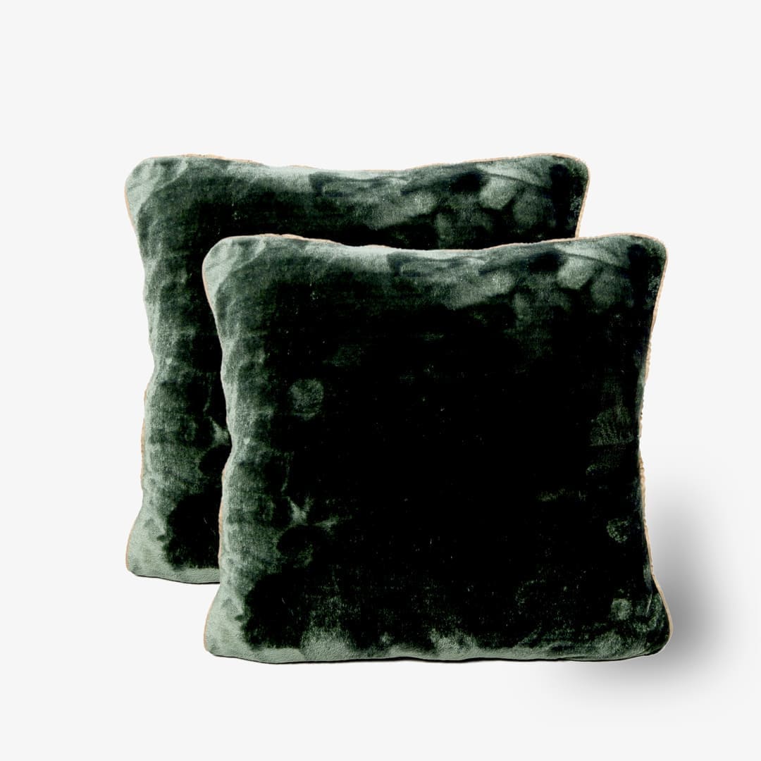 AC Blanket Cushion Covers-Set of 2 - Greener pastures