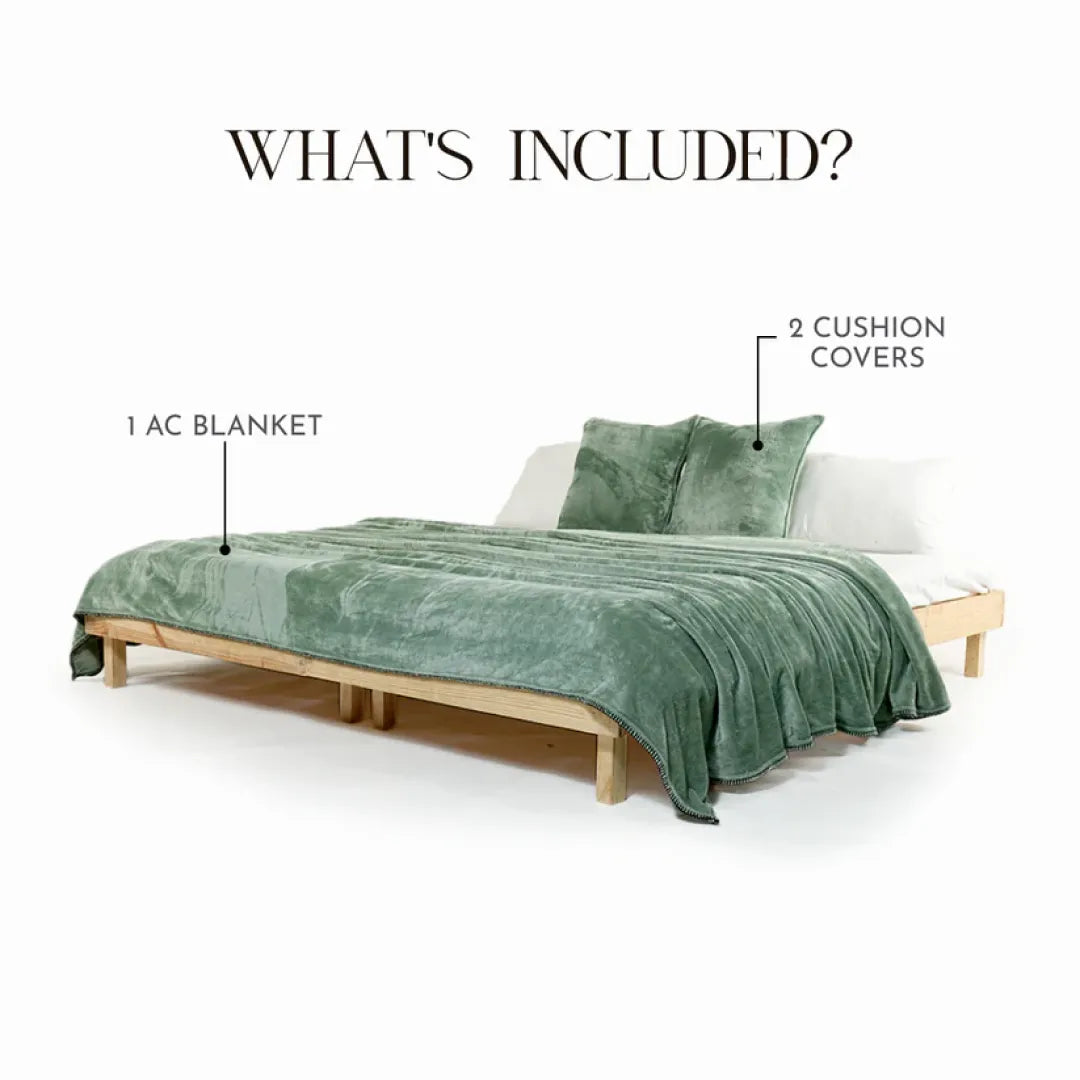 Zarf All-Season Premium AC Blanket With Two Cushion Covers - Eucalyptus