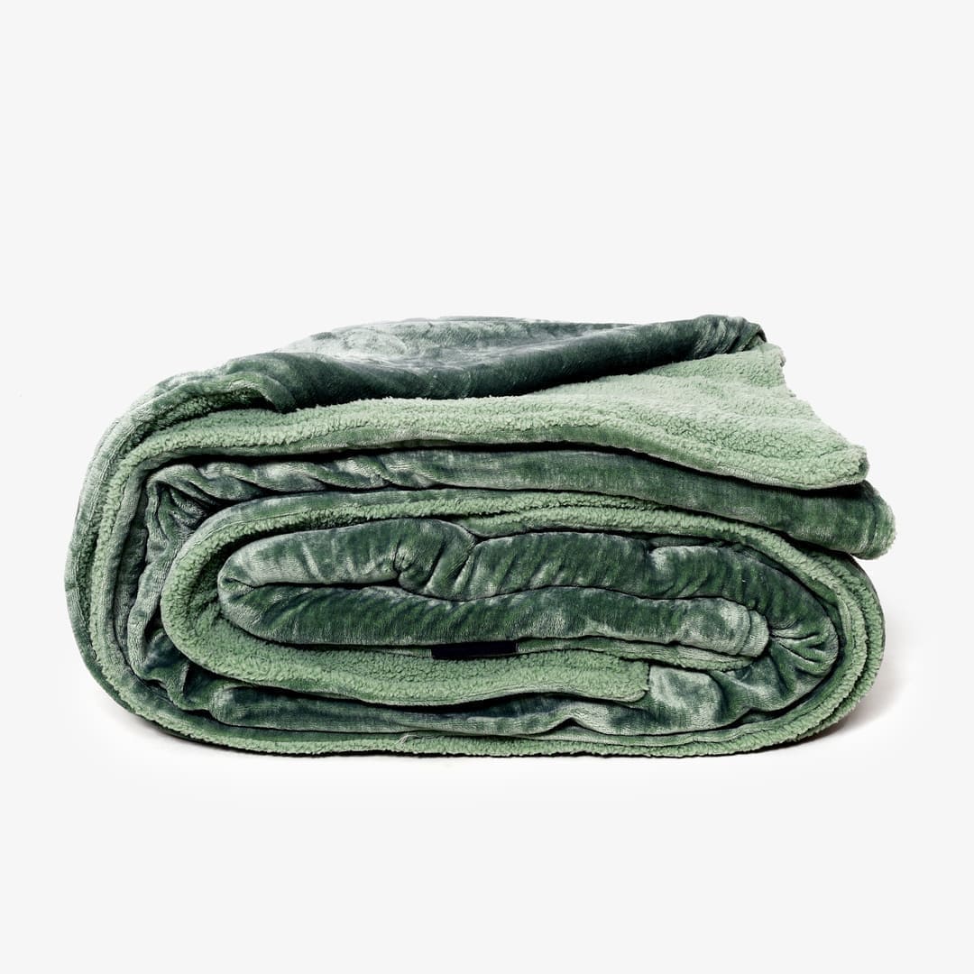 Zarf California King Size Reversible Quilt With 2 Cushion Covers - Seafoam