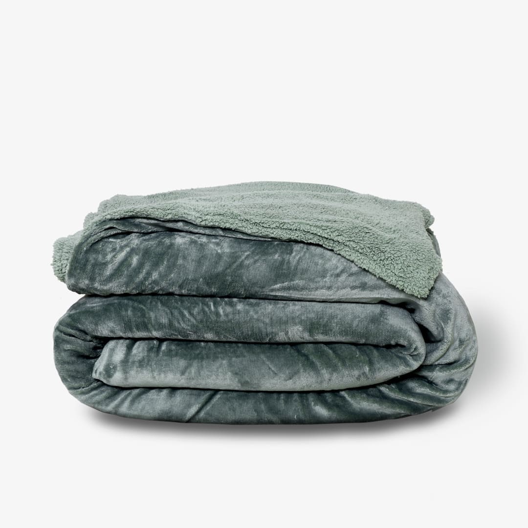 Zarf California King Size Reversible Quilt With 2 Cushion Covers - Seafoam