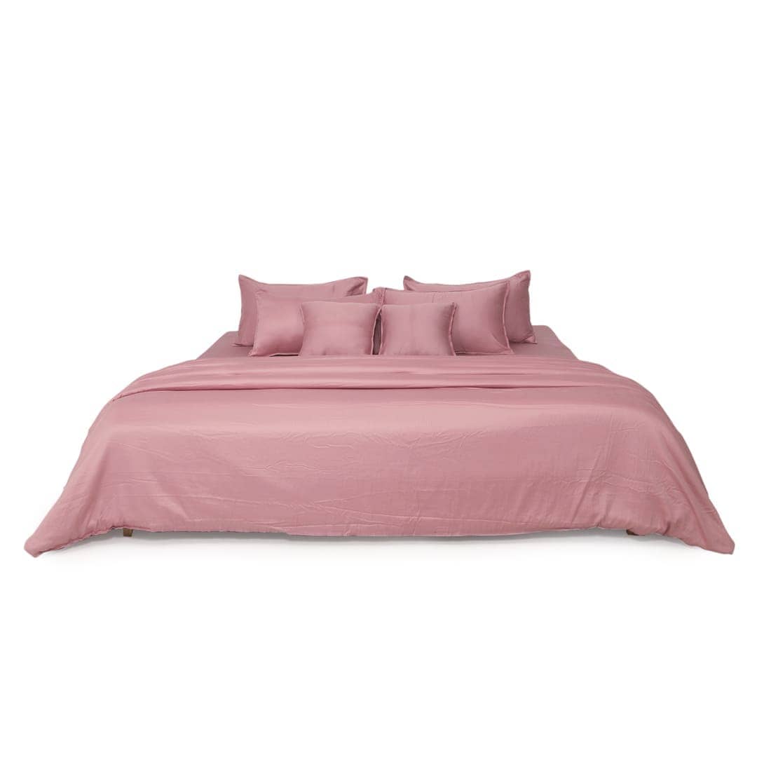 Zeries Egyptian Cotton Bedsheets With 2 Pillow Cases & 2 Cushion Covers - Ballet