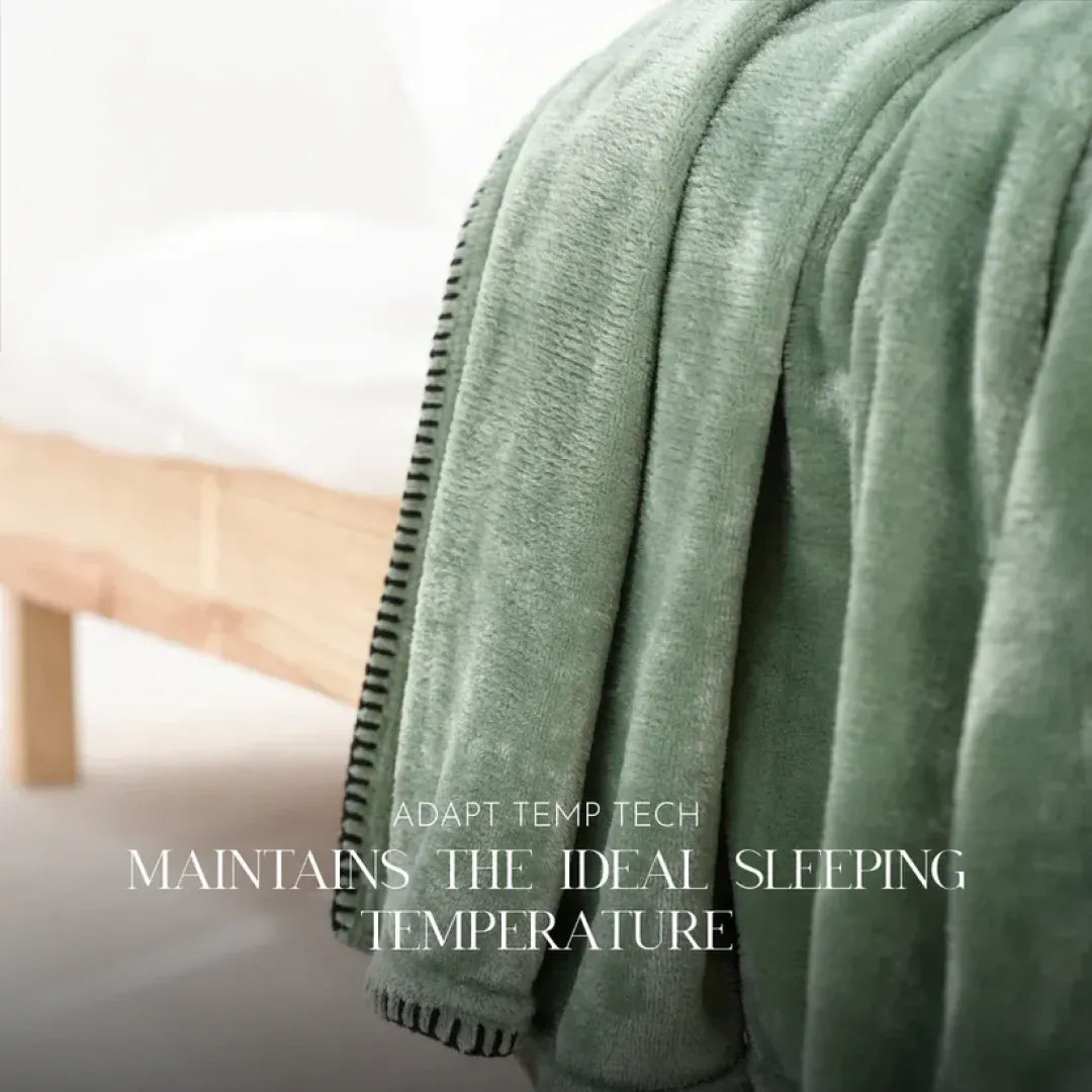 Zarf All-Season Premium AC Blanket With Two Cushion Covers - Eucalyptus
