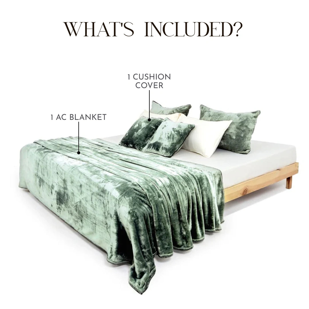 Zarf All-Season Premium Baby Size AC Blanket With One Cushion Cover - Eucalyptus