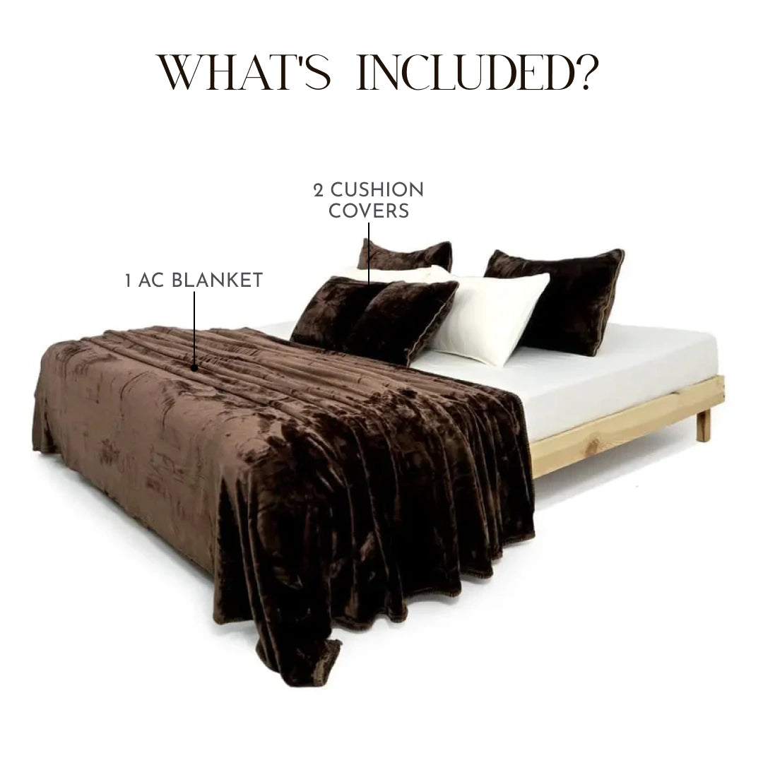 Zarf All-Season Premium AC Blanket With Two Cushion Covers - Mocha