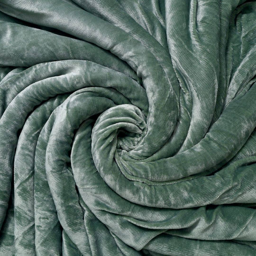 Zarf California King Size Reversible Quilt With 2 Cushion Covers - Seafoam
