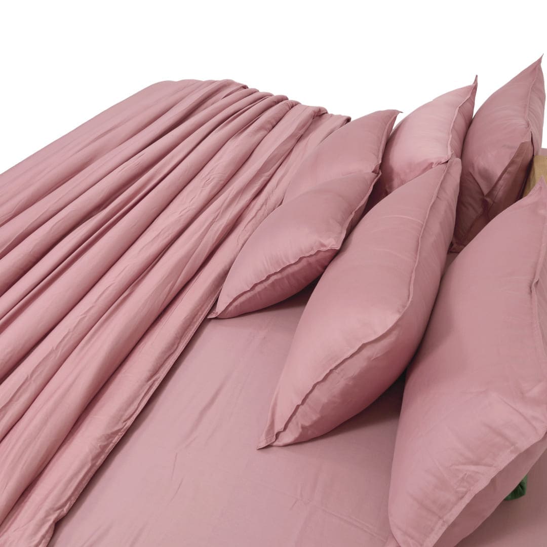 Zeries Egyptian Cotton Bedsheets With 2 Pillow Cases & 2 Cushion Covers - Ballet