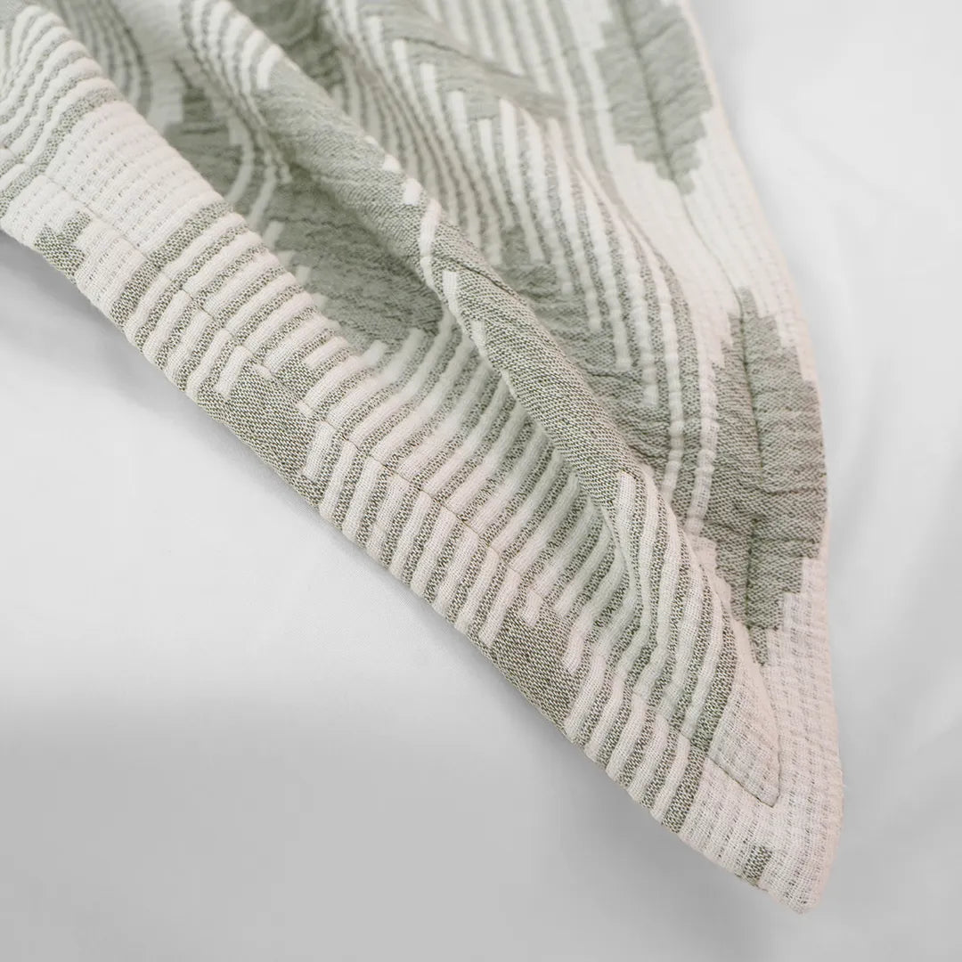 Zarf California King Size Plush Cotton AC Blanket With 2 Pillow Cases - Lunar Dust