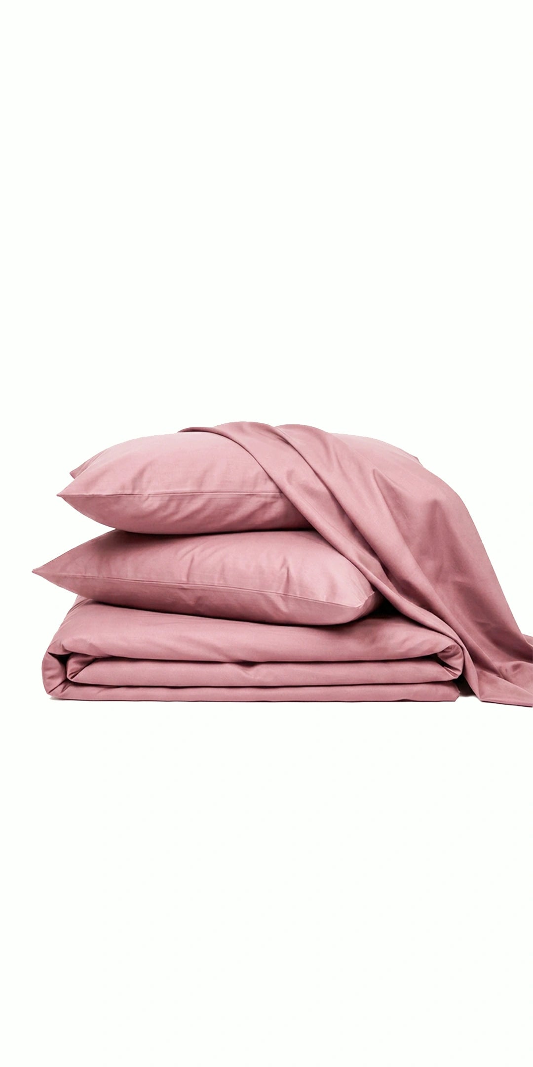 Zeries Egyptian Cotton Bedsheets With 2 Pillow Cases & 2 Cushion Covers - Ballet