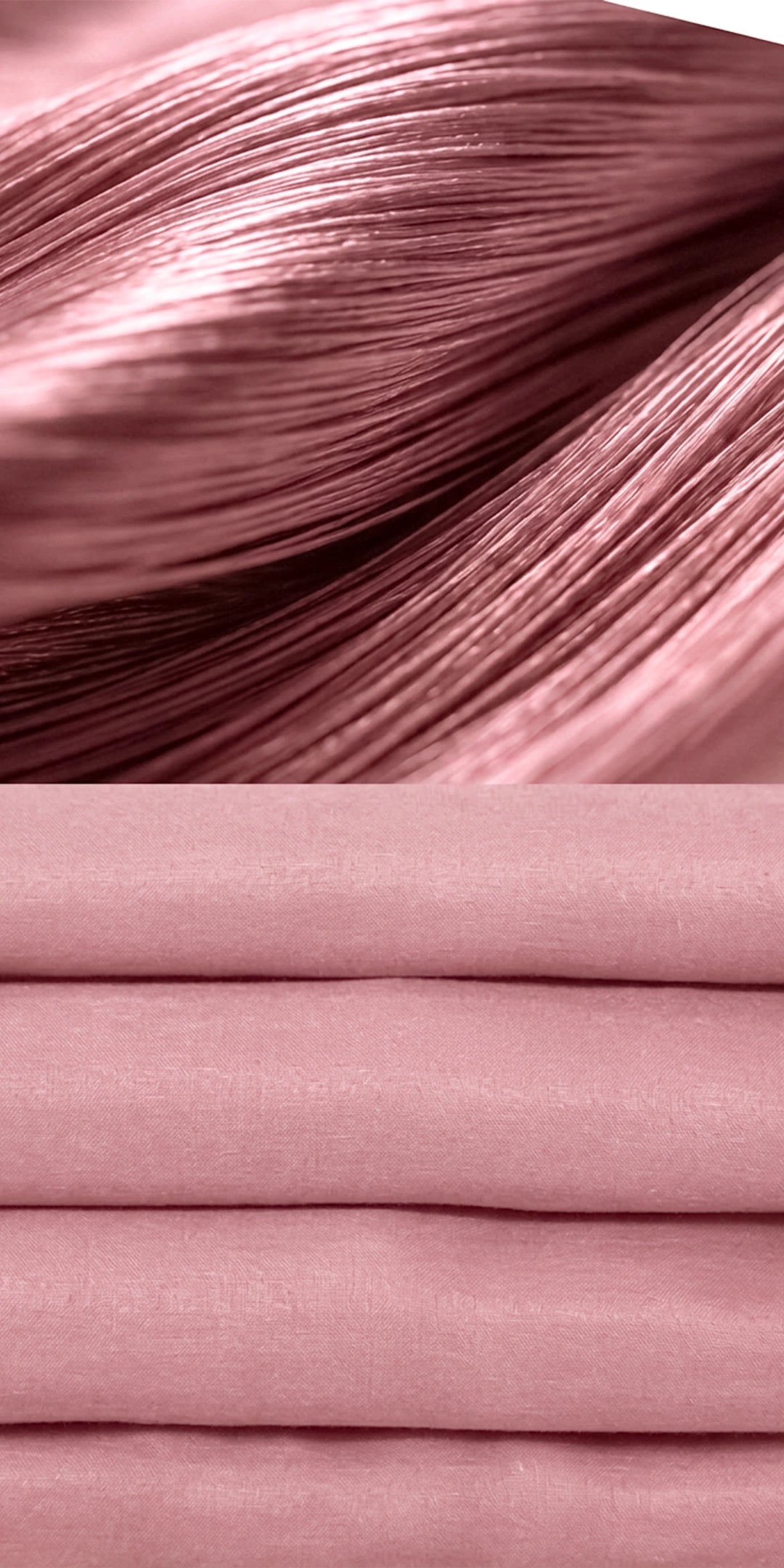 Zeries Egyptian Cotton Bedsheets With 2 Pillow Cases & 2 Cushion Covers - Ballet