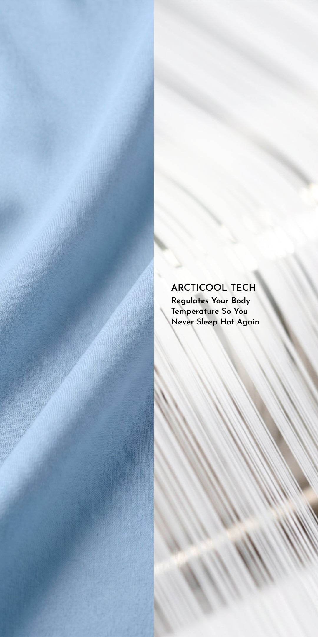 ZERIES PERCALE WEAVE EGYPTIAN COTTON FITTED BEDSHEET WITH 2 PILLOW CASES - Bellamy