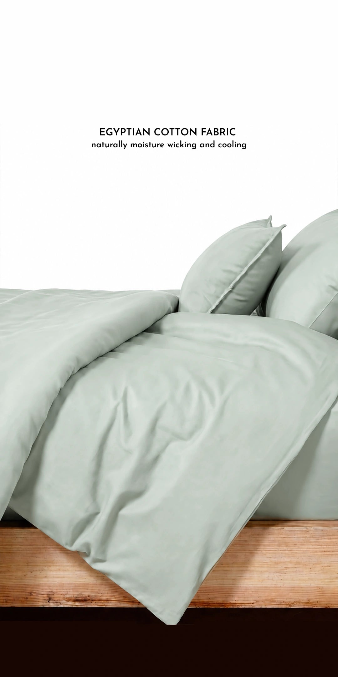 ZARF Egyptian Cotton Comforter With 2 Pillowcases & 2 Cushion Covers - Cyan
