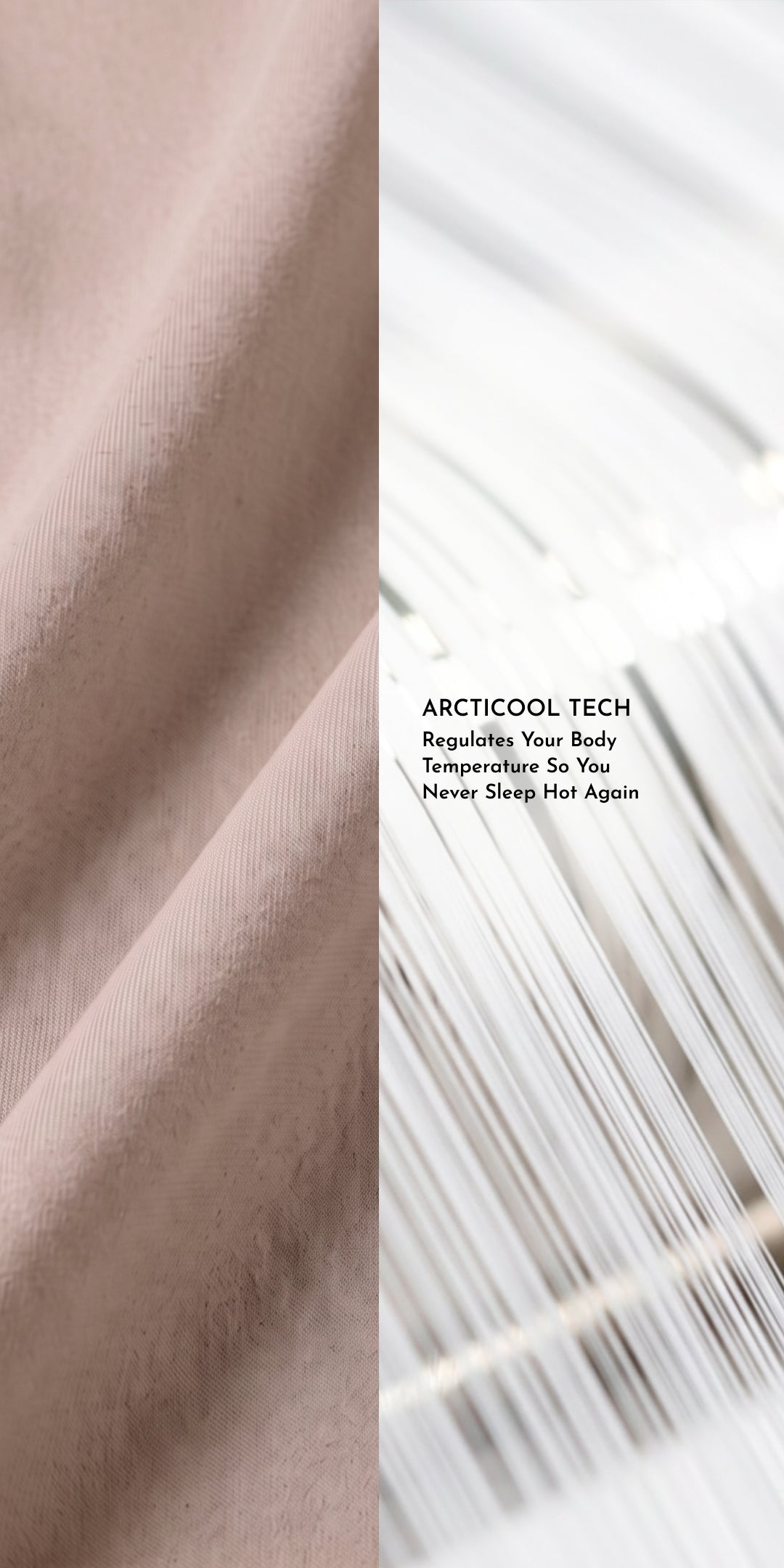ZERIES PERCALE WEAVE EGYPTIAN COTTON FITTED BEDSHEET WITH 2 PILLOW CASES - Etosha