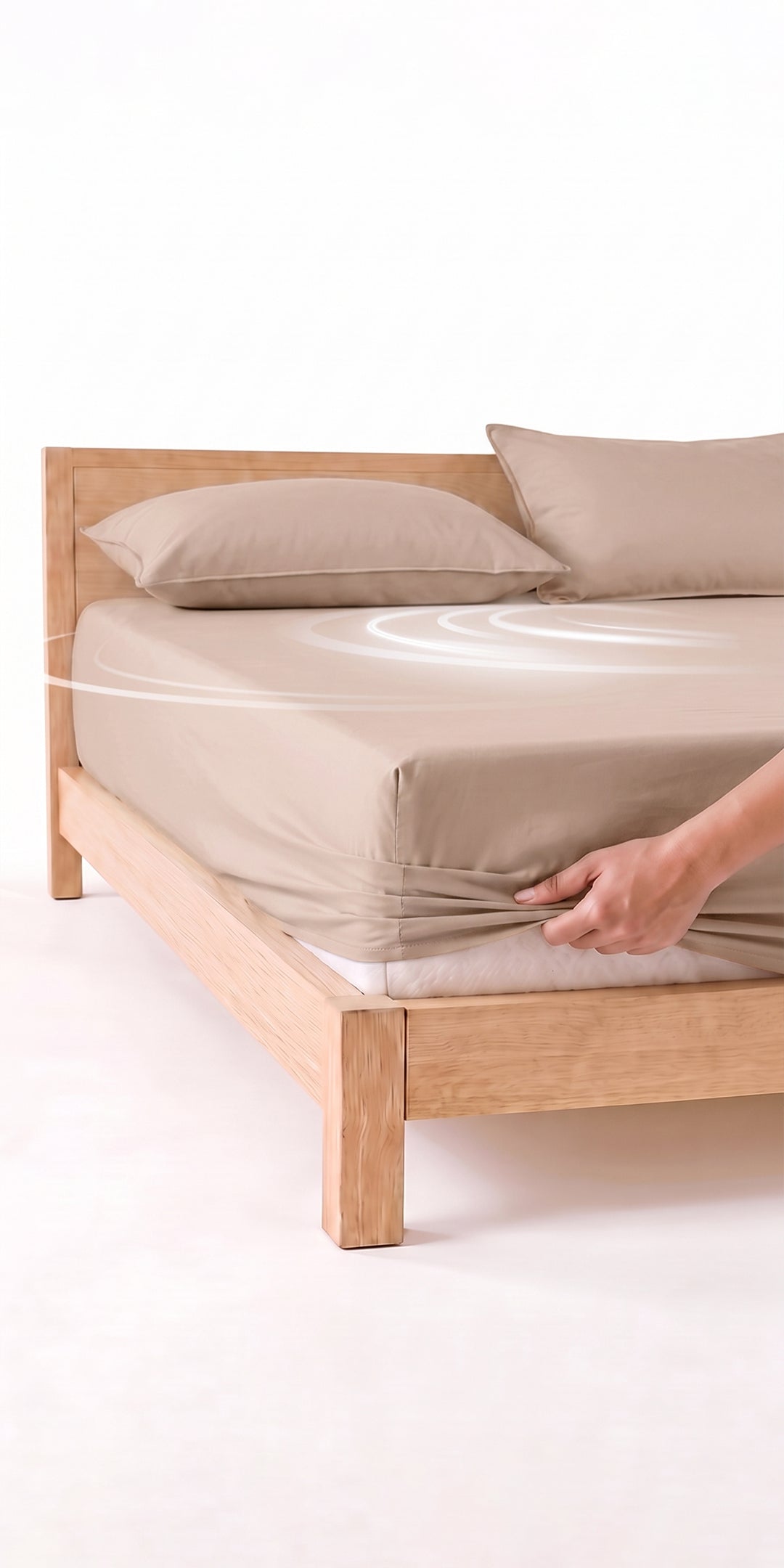 ZERIES PERCALE WEAVE EGYPTIAN COTTON FITTED BEDSHEET WITH 2 PILLOW CASES - Etosha