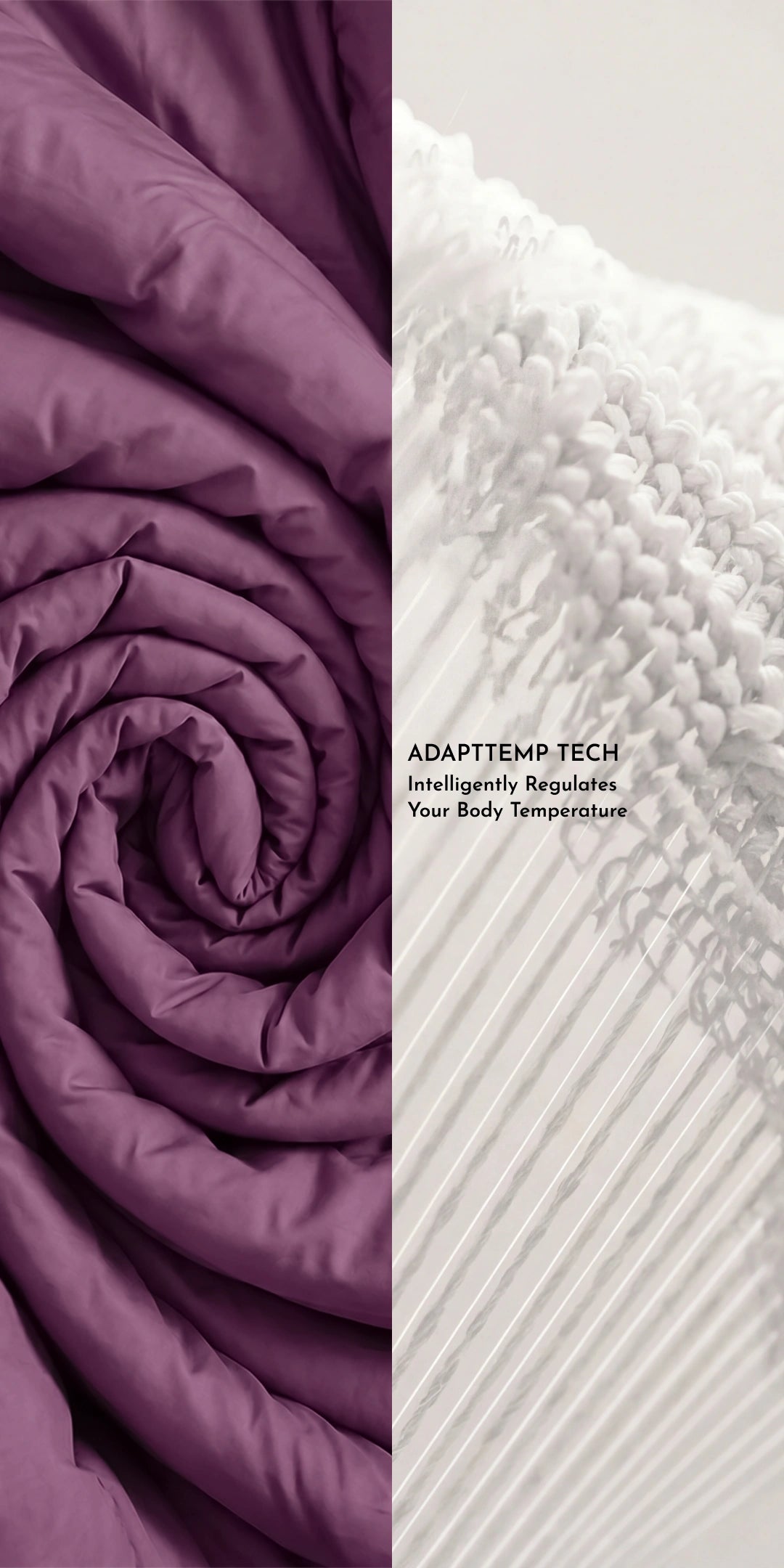 ZARF Egyptian Cotton Comforter With 2 Pillowcases & 2 Cushion Covers - Plum