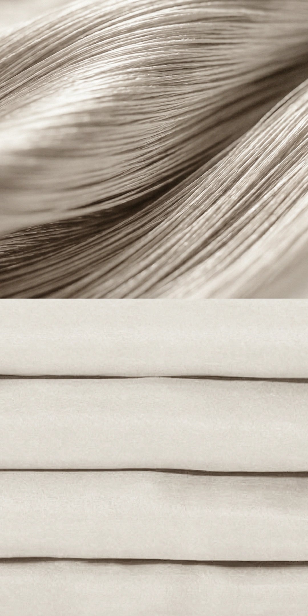 Zeries Egyptian Cotton Bedsheets With 2 Pillow Cases & 2 Cushion Covers - Shell