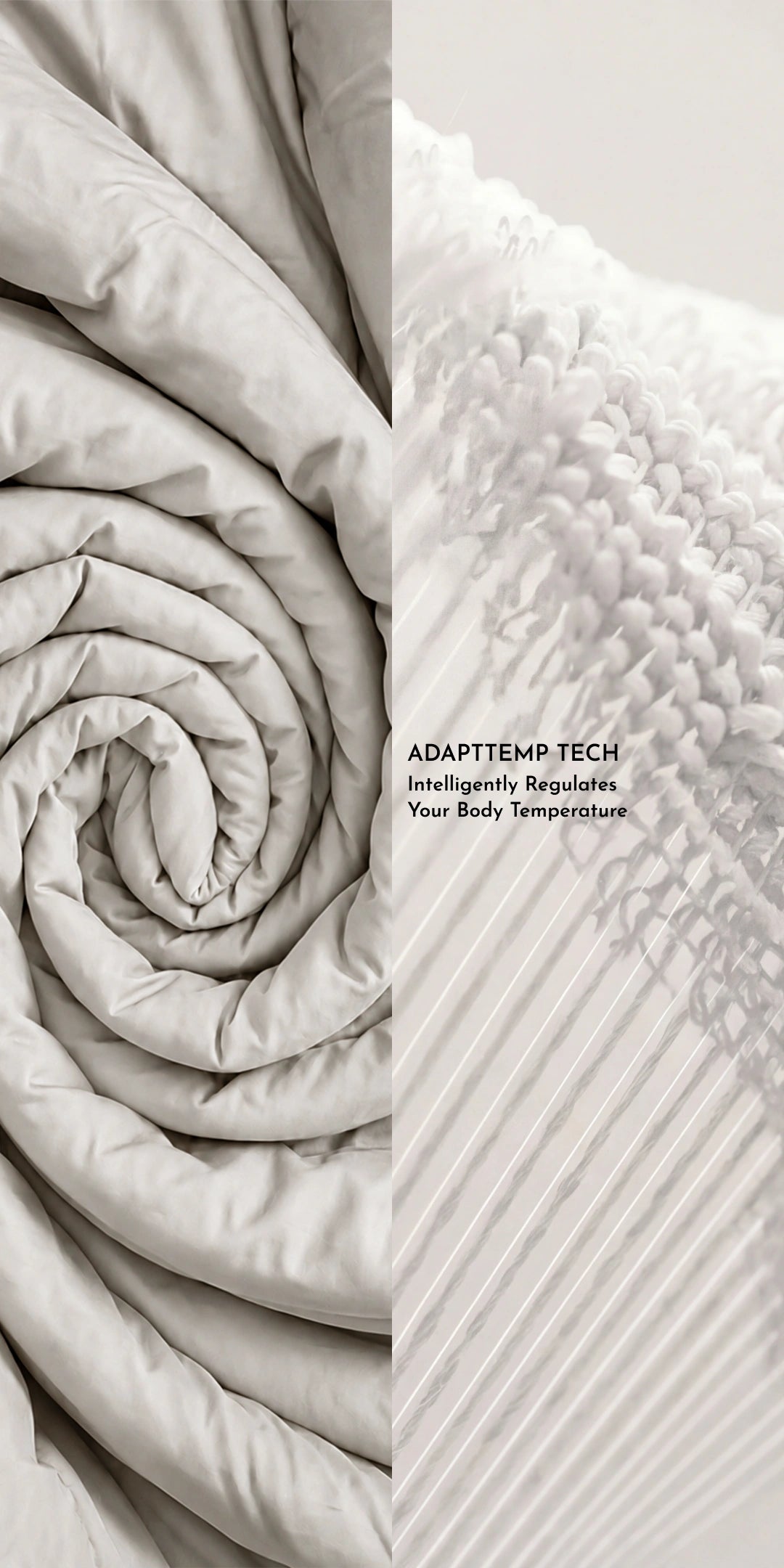 ZARF Egyptian Cotton Comforter For Single Size Bed With 2 Pillowcases & 2 Cushion Covers - Shell