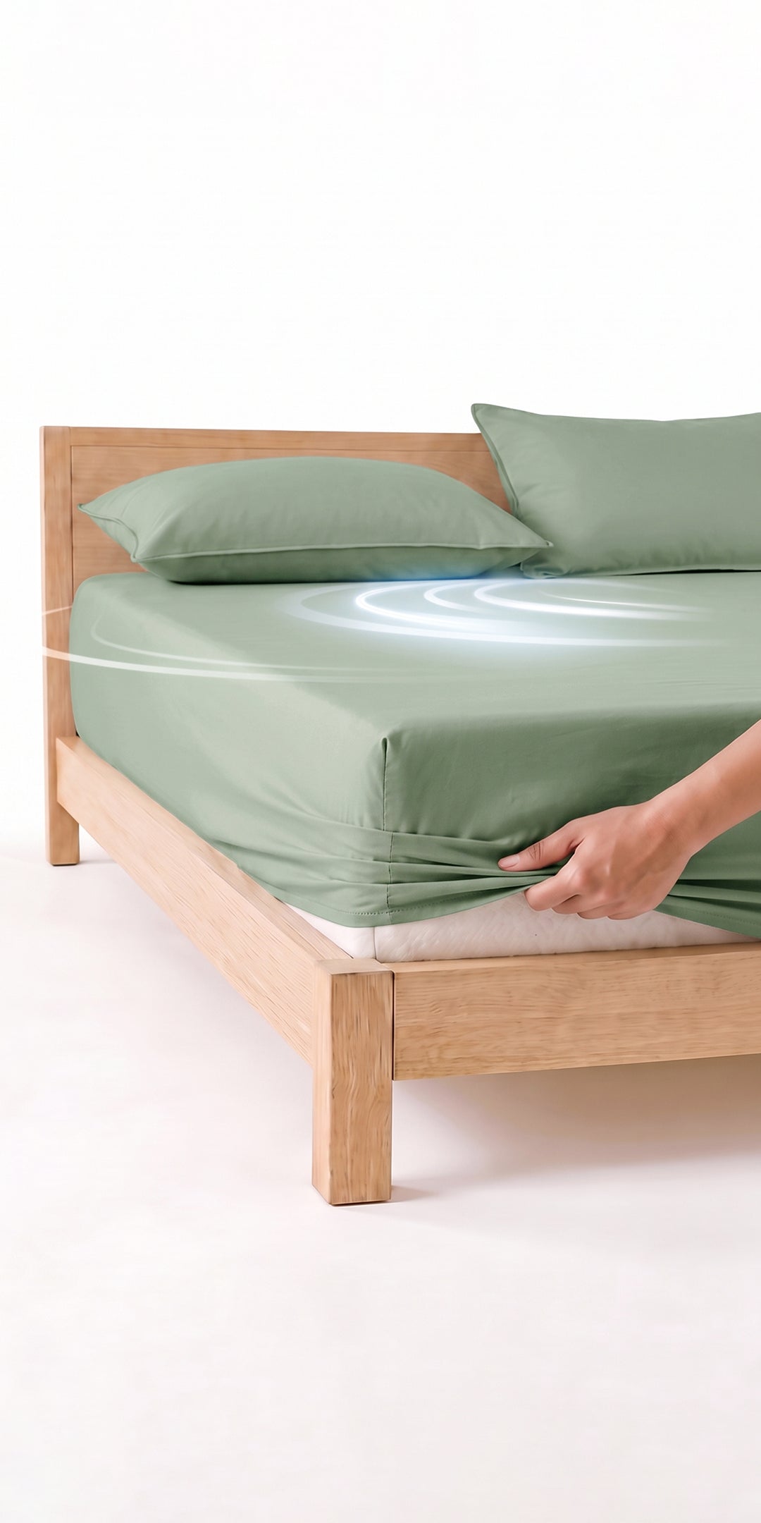 ZERIES PERCALE WEAVE EGYPTIAN COTTON FITTED BEDSHEET WITH 2 PILLOW CASES - Verdane