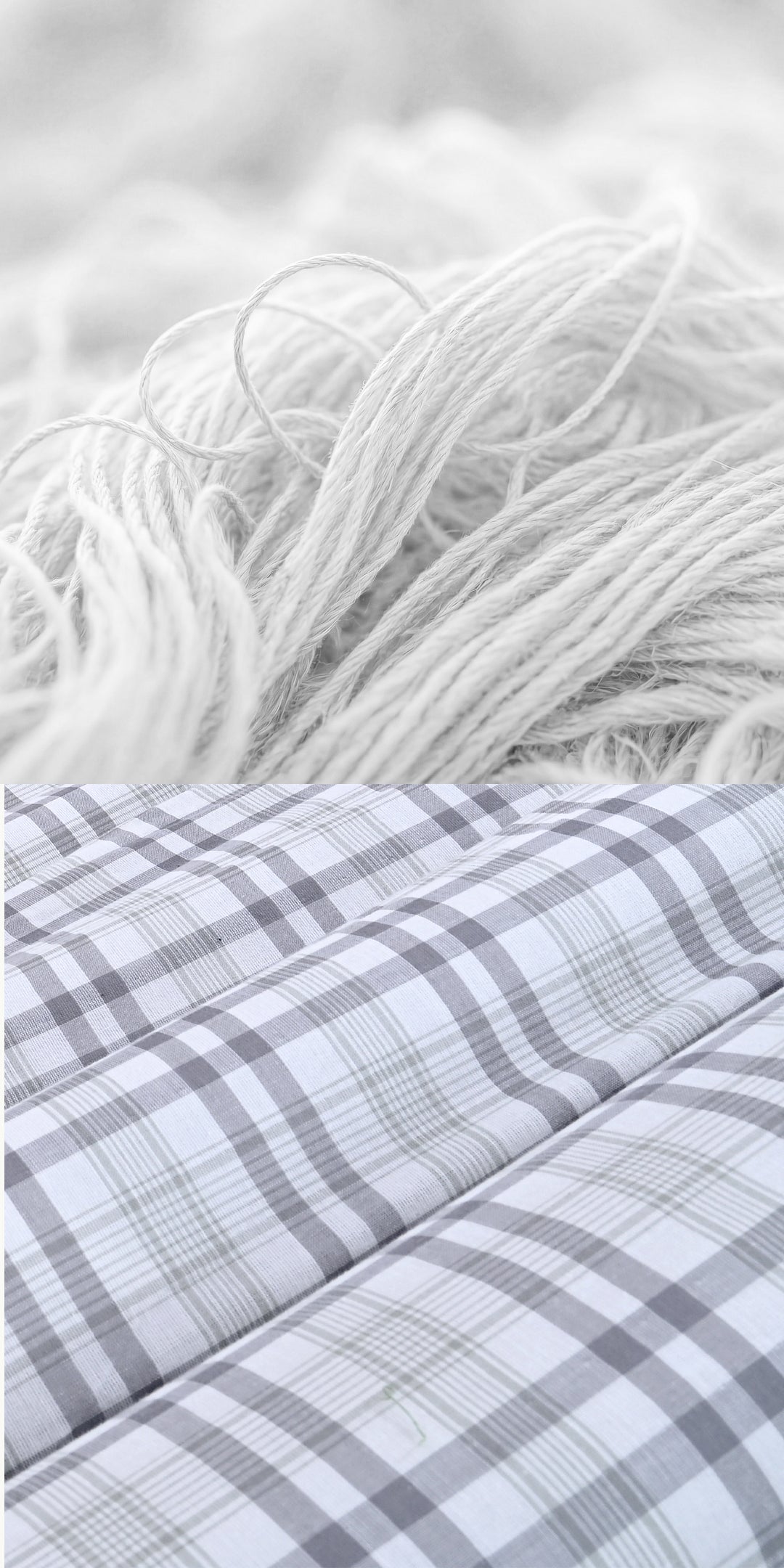 Zarf California King Size Reversible Quilt With 2 Pillow Covers and 1 Cushion Cover - Waverly